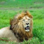 742392550_wp69b559650a3c63.19260986