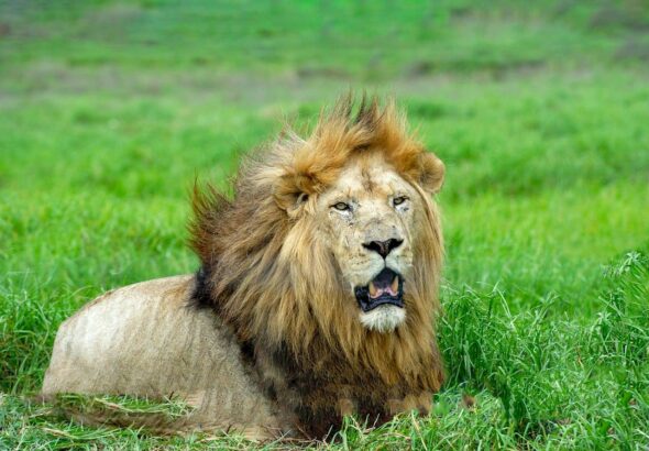 742392550_wp69b559650a3c63.19260986