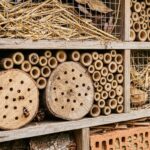 zbliżenie na drewniany domek dla owadów