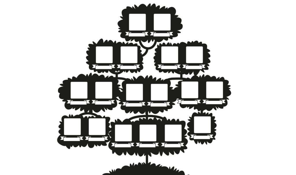 szablon drzewa genealogicznego