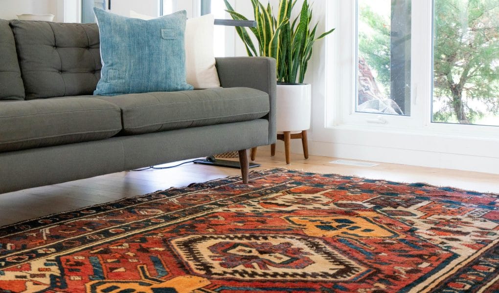 jak wyczyścić dywan