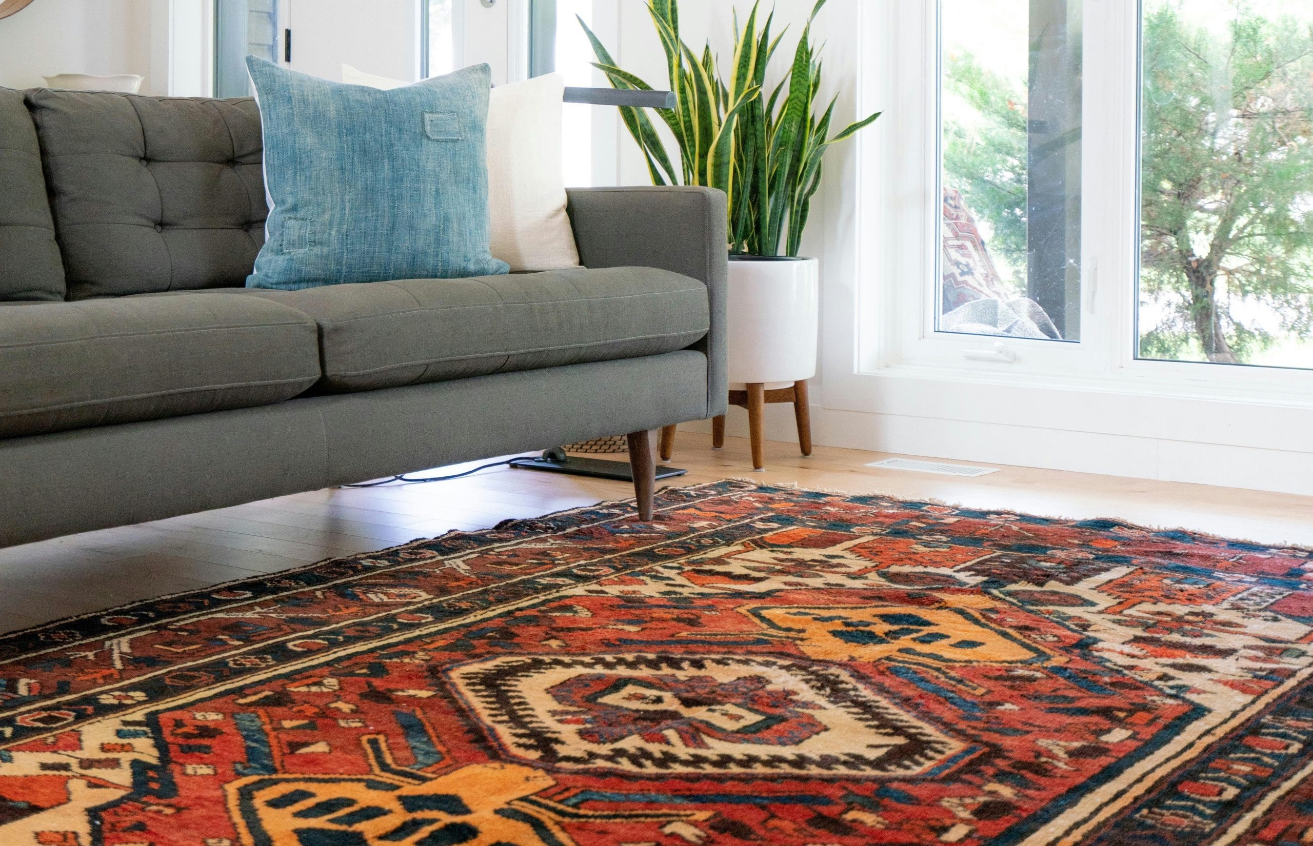 jak wyczyścić dywan