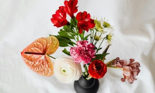 kwiaty w wazonie