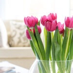 bukiet tulipanów w salonie